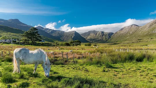 scenery-connemara-ireland-10